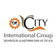 City International Group